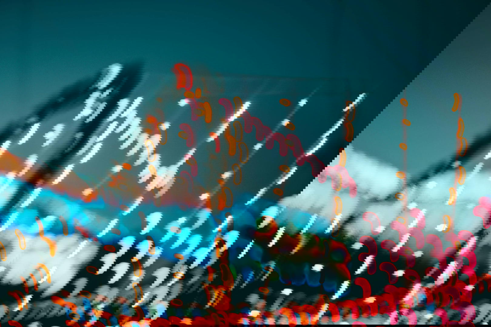 Ticketsysteem voor jou