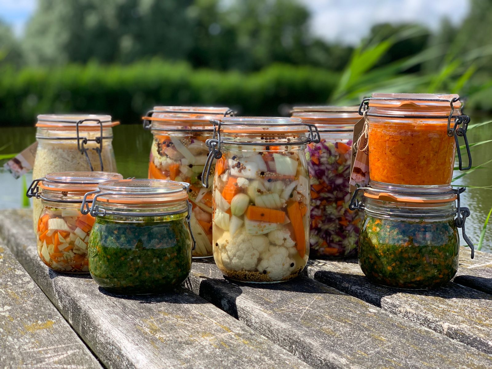 Logo GROENTEN FERMENTEREN MASTERCLASS ZONDAG 12 OKTOBER 2025