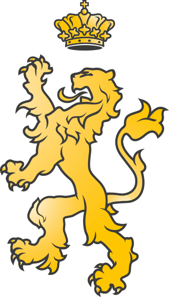 Logo HVV - Heerjansdam