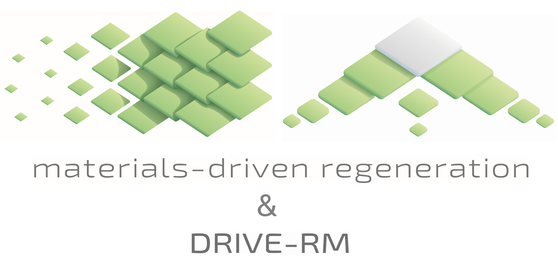 Logo MDR/DRIVE-RM Annual Meeting